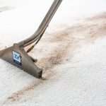 Carpet Cleaning {location}