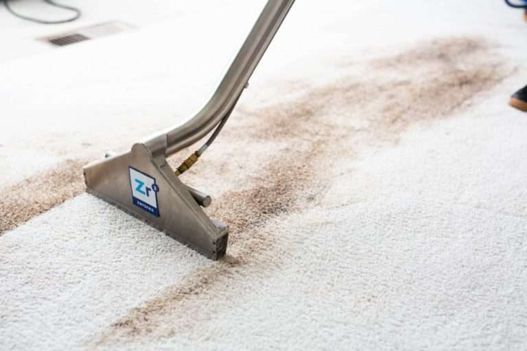 Deep-cleaned carpet by professionals in {location}.