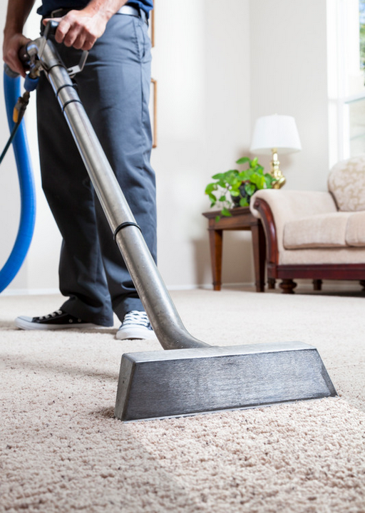 Expert carpet cleaning in progress in {location}.